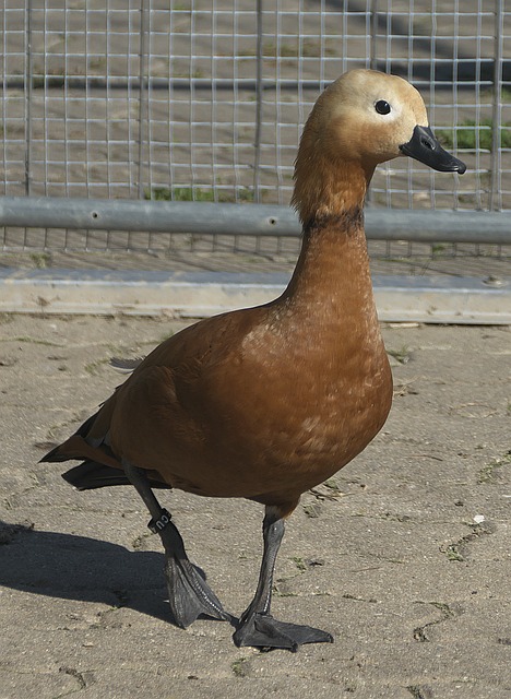 田间地头