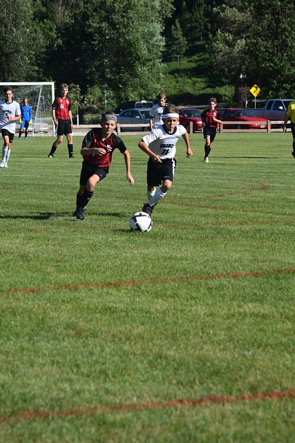 不仅体现在 不仅体现在