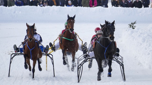 通过系统化 通过系统化