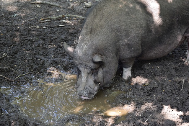 忘的瞬间 忘的瞬间
