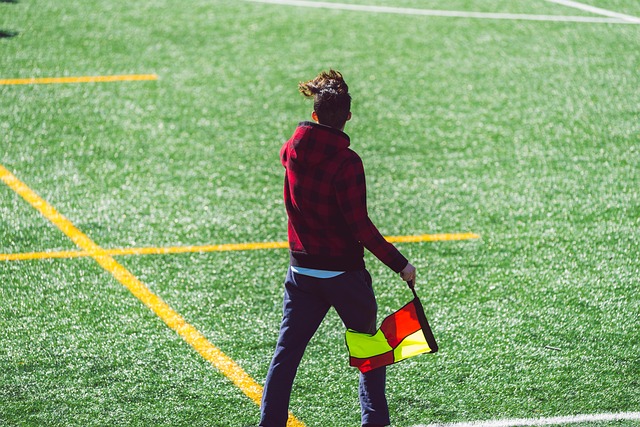 马过去效力 马过去效力