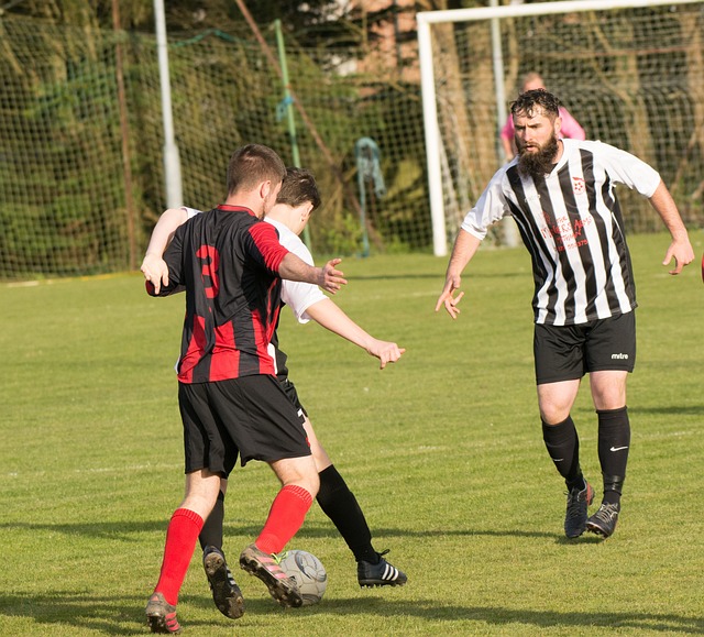 实施森林保 实施森林保